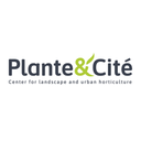 Plant & City avatar